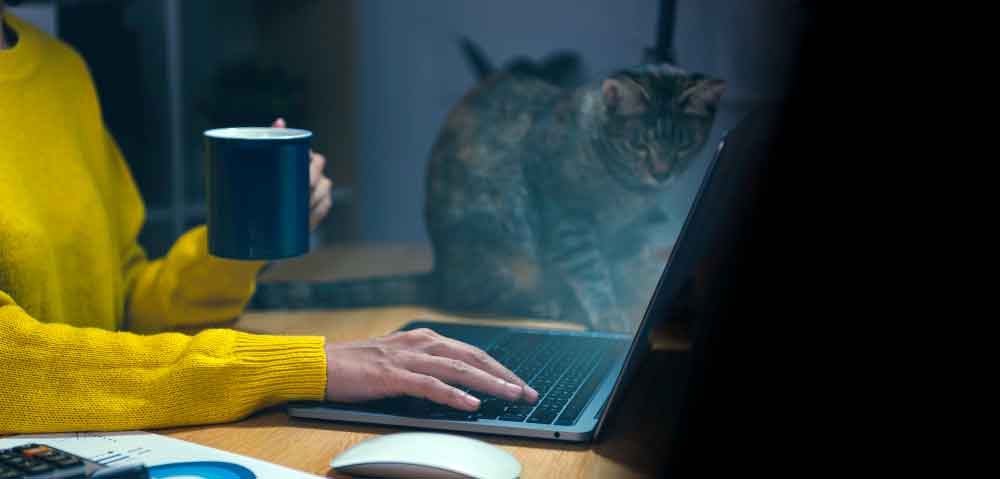 Yazılım Maaşları 2023 Home Office