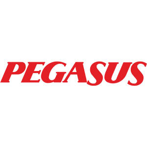 Pegasus